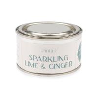 Pintail Candles Sparkling Lime & Ginger Paint Pot Candle Extra Image 1 Preview